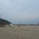 바다정원 이미지