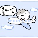 나르샤관광호텔 이미지