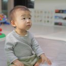 행복한 꼬마 거북이 이미지