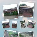 표선리-34 이미지