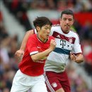 박지성 카카오 검색결과