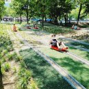 JF태권도 이미지