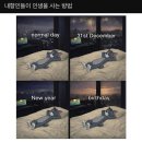 LUCKY PUPPY(럭키 퍼피) | 2025 어워드 (+2026년 버킷리스트)