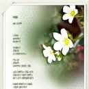 블루스카이 이미지