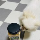 밍키펫마트