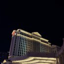 시저스 | 라스베가스 바카날 뷔페(Bacchanal Buffet) 후기｜시저스 팰리스 3대 뷔페 디너 가격, 예약, 메뉴