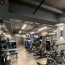 와일드짐 이미지