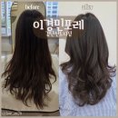 세인자연 | [인천/검단미용실]이경민포레 검단신도시점, 'SC컬펌' 후기(feat.세인실장님)