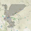 한국체대화랑태권도 이미지