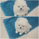 미추홀복싱클럽 이미지