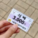 코스모스의원 | 2025 구리 코스모스축제 방문 후기, 주차, 볼거리, 공연, 팁 등