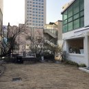신사(217) 네이버블로그