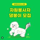 노랭보랭 이미지