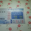 지선네회집