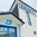 헬로우버디 그루밍센터 판교밸리점 이미지
