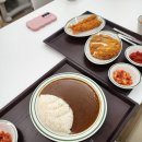 카레와푸드 | LF스퀘어맛집 아비꼬 양주LF스퀘어점 : 100시간카레와 돈까스 점심 후기