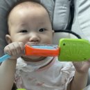 (주)베베드키즈 이미지