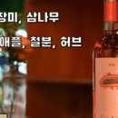 파토리아 이미지