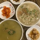 도노 | 제주도 서귀포 도노인제주남원 독채 풀빌라 임산부 20주 태교여행 내돈내산 후기❤️ :)