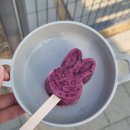 [탄이랑 주말기록] 미사아일랜드펫존에서 뛰뛰 (멍카페 펫스크림 블루베리맛/떡꼬치와 핫도그 냠냠)