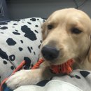 부마클럽 이미지