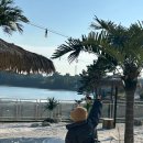 비토바다펜션 | 오션뷰 인피니티풀부터 불멍, 조식까지 완벽했던 가족여행 안토이비토 풀빌라펜션 후기