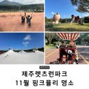 경마루 스테이 | 제주도 11월 핑크뮬리명소 제주렛츠런파크 (골프장, 해피랜드, 자전거 무료대여, 깡통기차, 말먹이주기...