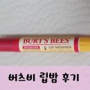 올리브영통영 이미지