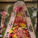 제이나니 이미지