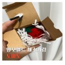 토마토 | 양모펠트 채소키링 토마토 후기 귀엽고 싱그러운 가방꾸미기 포인트템