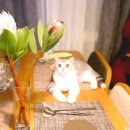 서브힐링 이미지