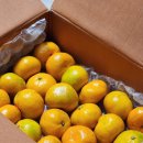 주식회사 잘팜 이미지