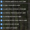 레이브원 이미지
