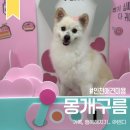 몽개구름 이미지