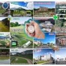 스테이구들 이미지