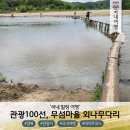 무섬마을 외나무다리 여행장소 소개