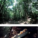 하례2리 이미지