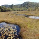 연못들6 이미지