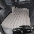 편안하개 이미지