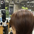 국화솔루션