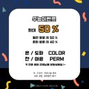 컬러드헤어디자인