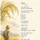 쌀밥 이미지