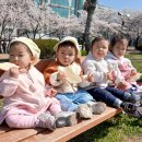 반월공원 이미지