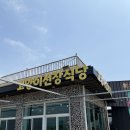 돈선장 | 제주 우도 맛집 고양이선장 식당 솔직 후기 (메뉴 추천)