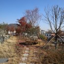 음성읍 명품가로숲길 이미지