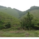 양촌리마을 이미지