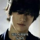 미쳐버린파닭 이미지