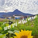 명인 태권도 | 순창여행 : '2025 순창 떡볶이 페스타' 아이들과 함께 옹골차게 누린 이야기 : 순창발효테마파크