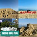 돌아와요 부산항에  | 2026 부산 해운대 모래축제 후기 해운대해수욕장 놀거리