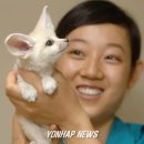 어린왕자와 사막여우 이미지